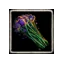 Oak poisonous plant pack