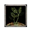 Haunted plant's stem
