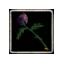 Laboratory oisonous plant stem